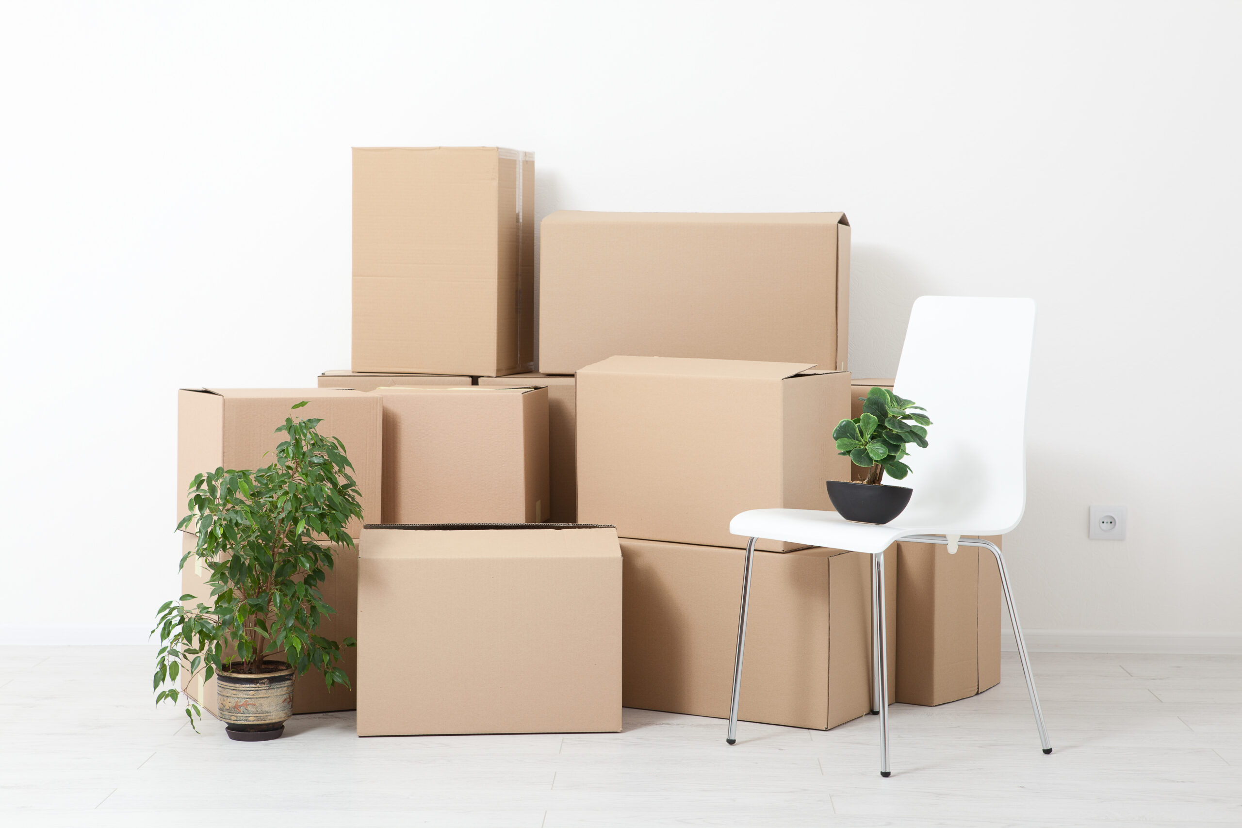 Storage Supplies